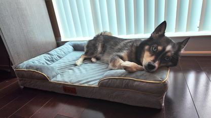 Fluzzi's OrthoNest™