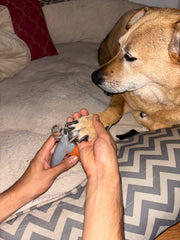 — Jason M, New York