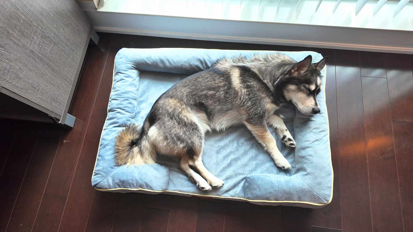 Fluzzi's OrthoNest™