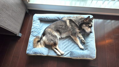 Fluzzi's OrthoNest™